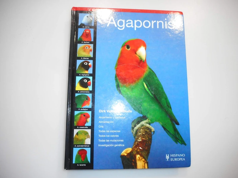 Agapornis / Lovebird (Pajaros / Birds)