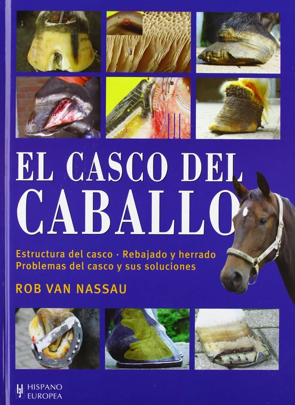 El casco del caballo/ Hoof Problems - Image 1