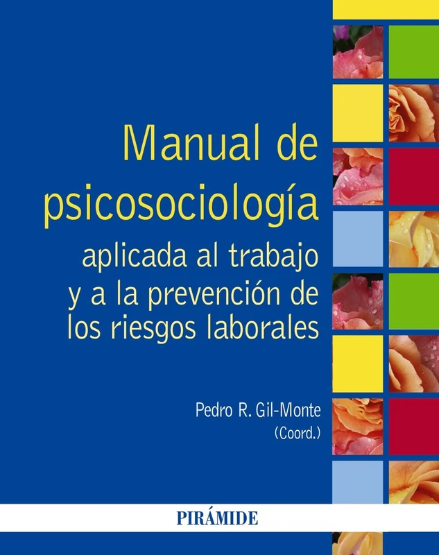 Manual de Psicosociología aplicada al trabajo y a la prevención de los riesgos laborales / Manual of applied psychology to work and prevention of occupational risks (Psicología)