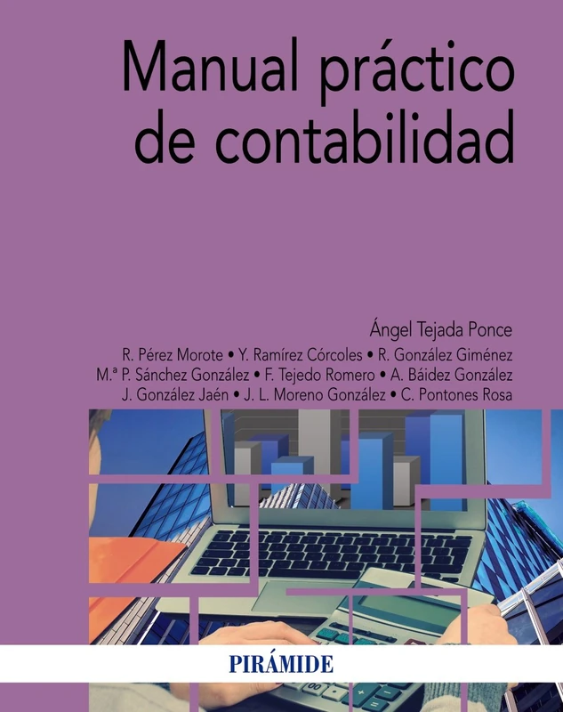 Manual práctico de contabilidad (Economía y Empresa)