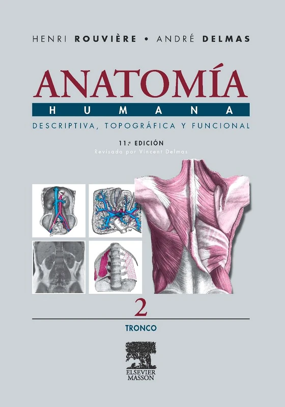 Anatomia Humana. Tronco - Tomo 2