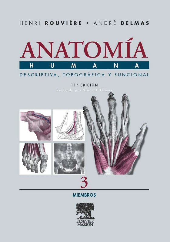 Anatomia Humana. Miembros - Tomo 3