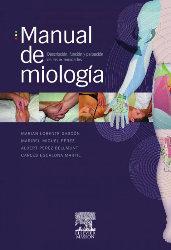 Manual de miología: Descripción, función y palpación de las extremidades - Image 1