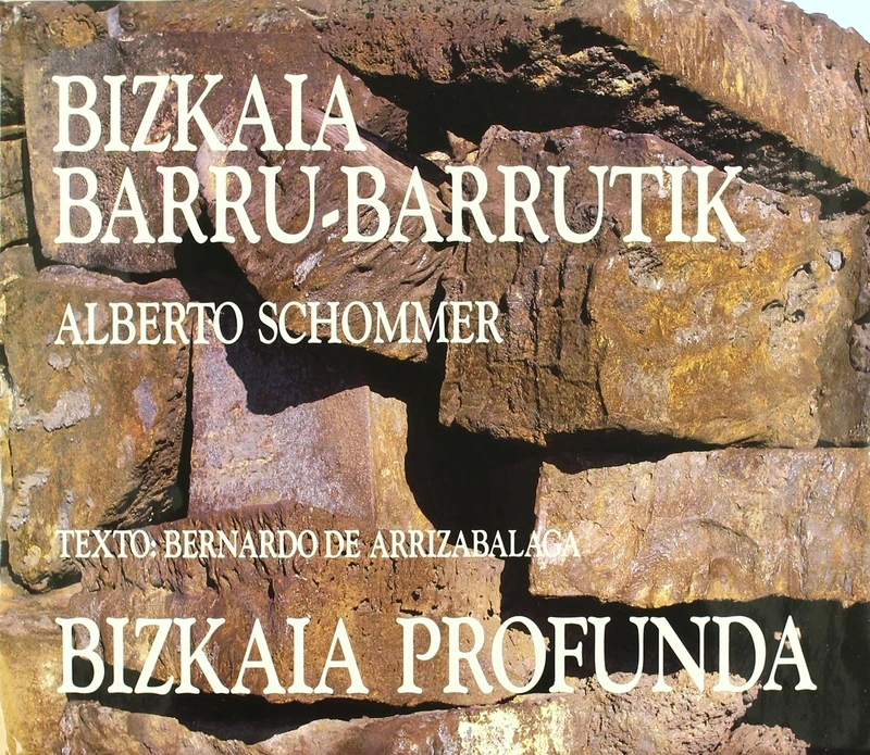 Bizkaia Barru-Barrutik =: Bizkaia Profunda - Image 1