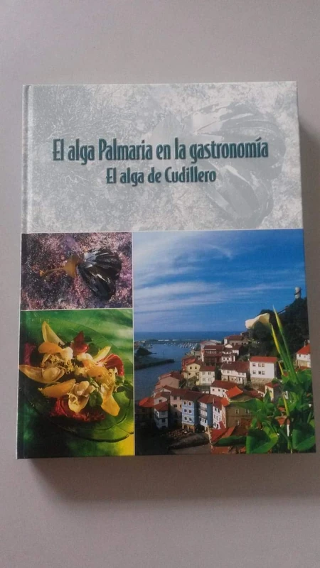 El alga palmaria en la gastronomía: Cartoné (Cocina y Hostelería) - Image 1
