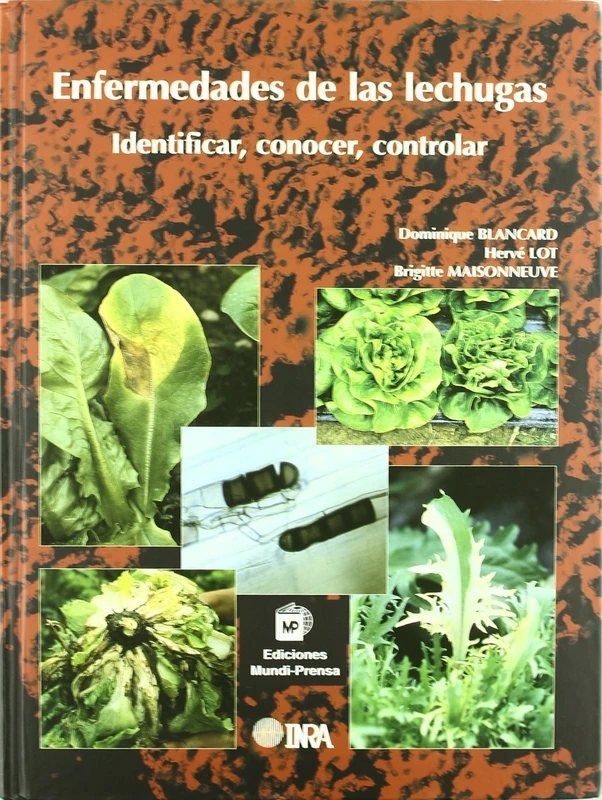 Enfermedades de las lechugas. Identificar, conocer y controlar (Patología Vegetal)