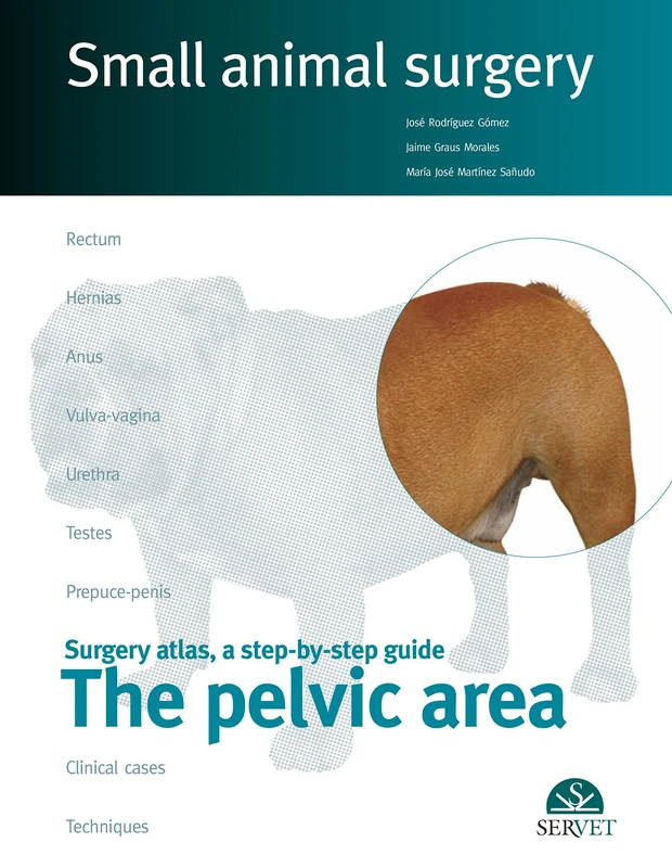 The Pelvic Area - Small animal surgery