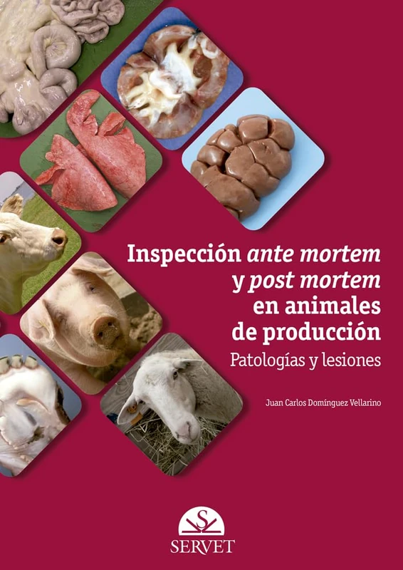 Inspección Ante Mortem Y Post Mortem En Animales de Producción: Patologías y lesiones