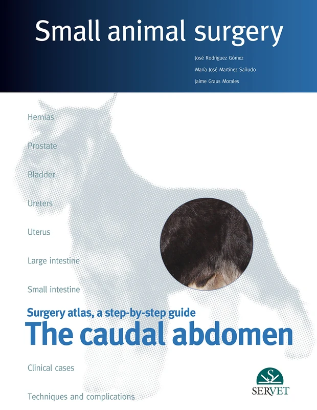 The caudal abdomen - Small animal surgery