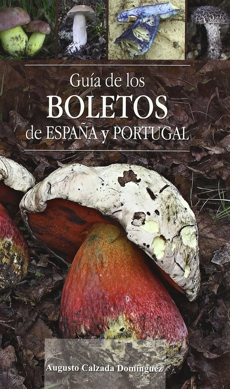 Guía de los boletos de España y Portugal - Image 1