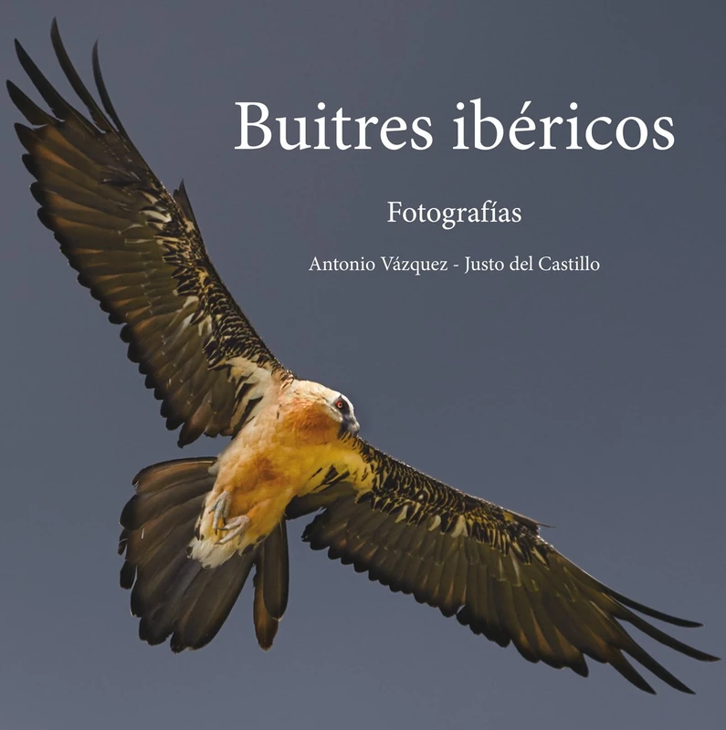Buitres ibéricos: Fotografías (Asturias Gran Formato)
