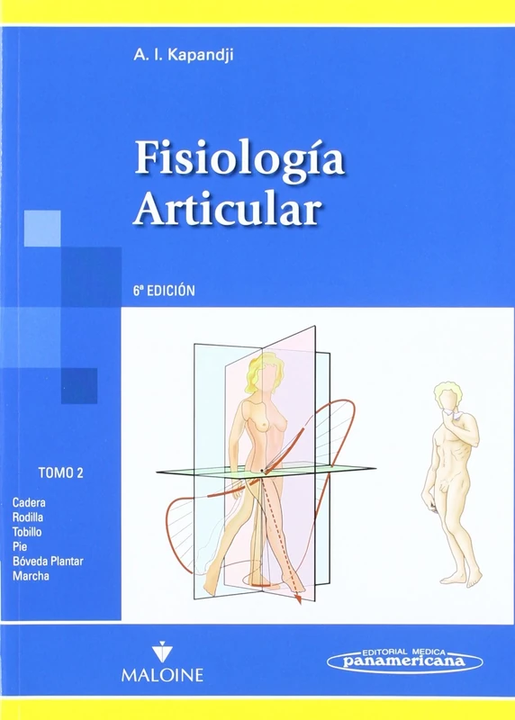 Fisiologia Articular / Articular Physiology: Esquemas comentados de mecanica humana. Miembros Inferiores / Commented Schemes of human mechanics. Lower ... plantar,marcha: 2