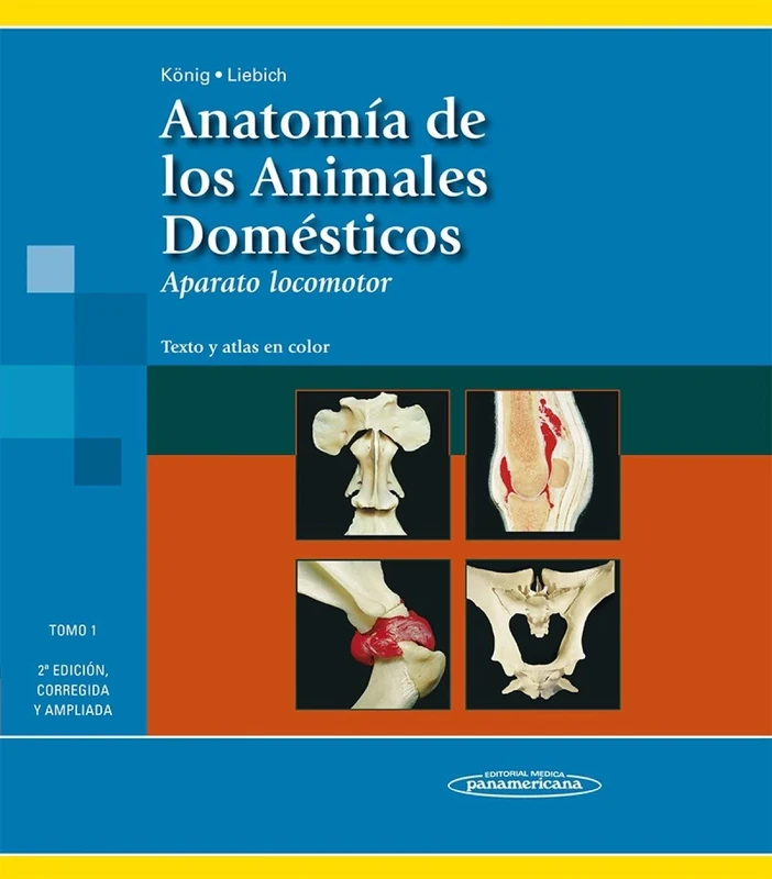 Anatomía de los animales domésticos : aparato locomotor