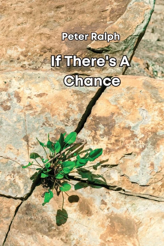 If There's A Chance - Image 1