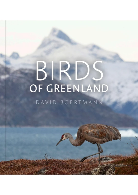 Birds of Greenland: An annotated and updated checklist