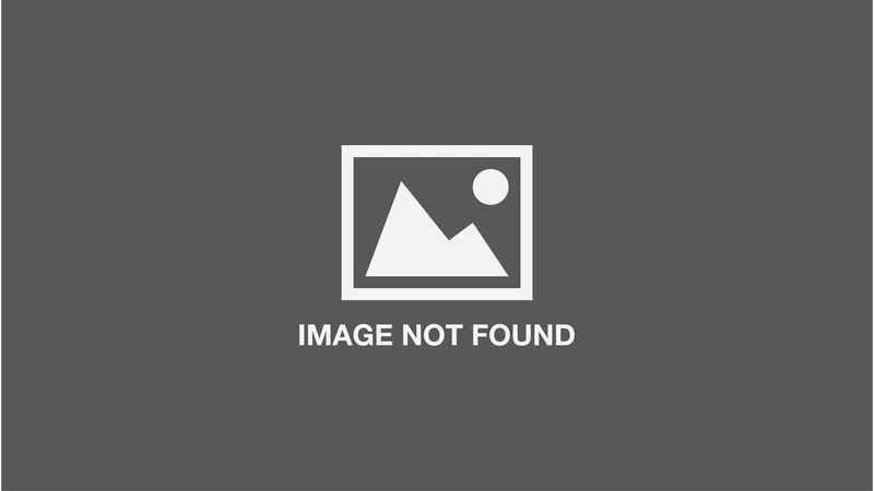 The Scientology Handbook