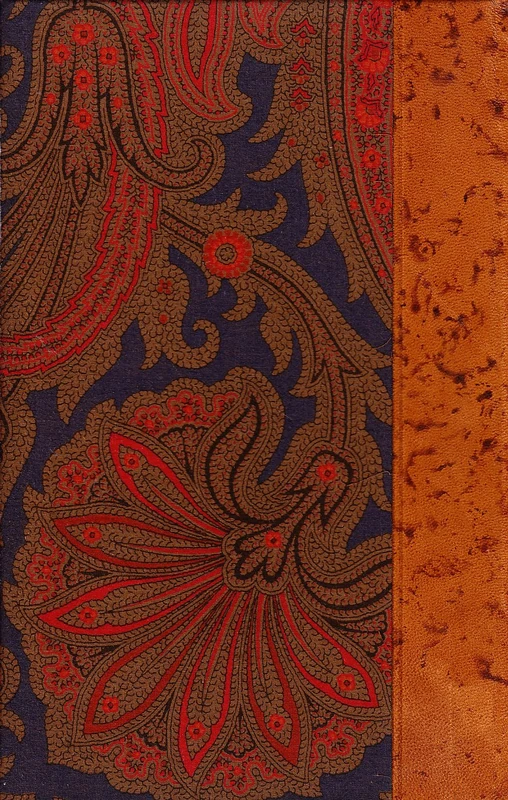 Il gattopardo