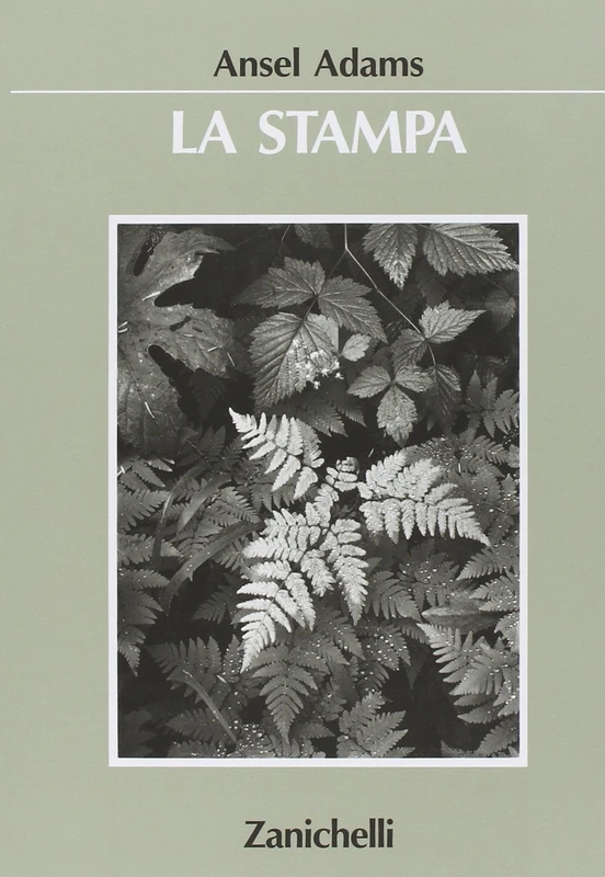 La stampa