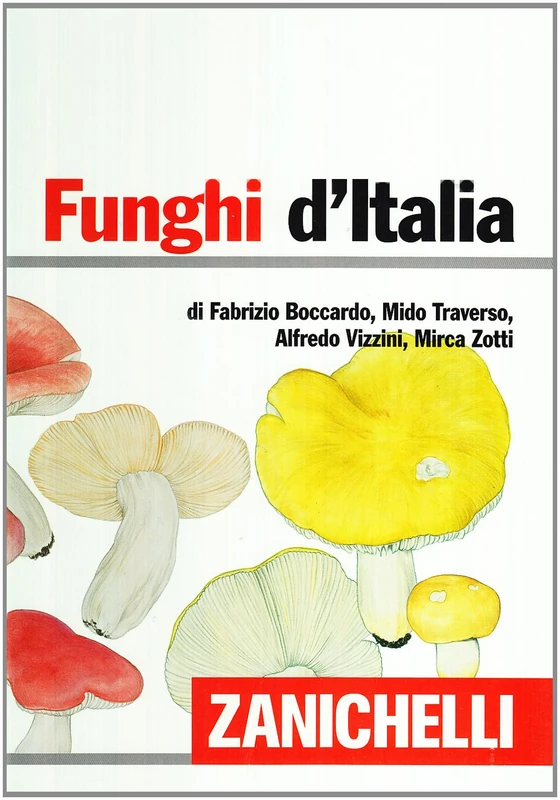 Funghi d'Italia