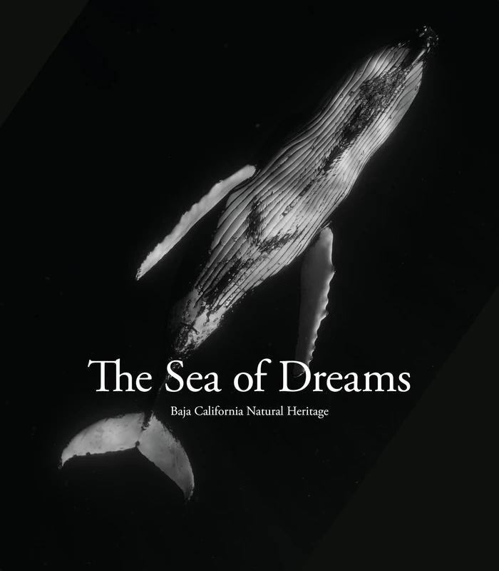 Sea of Dreams: Baja California Natural Heritage