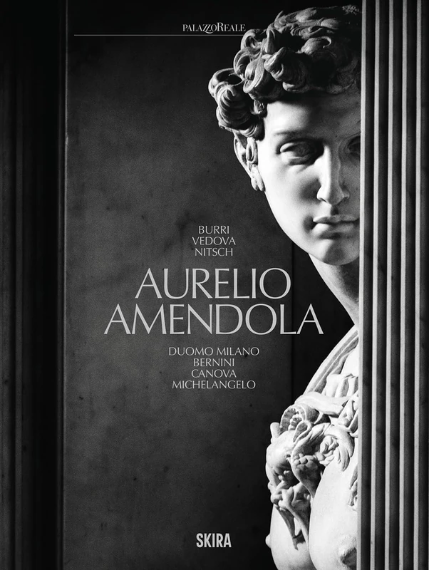 Aurelio Amendola: Burri, Vedova, Nitsch, Duomo Milano, Bernini, Canova, Michelangelo