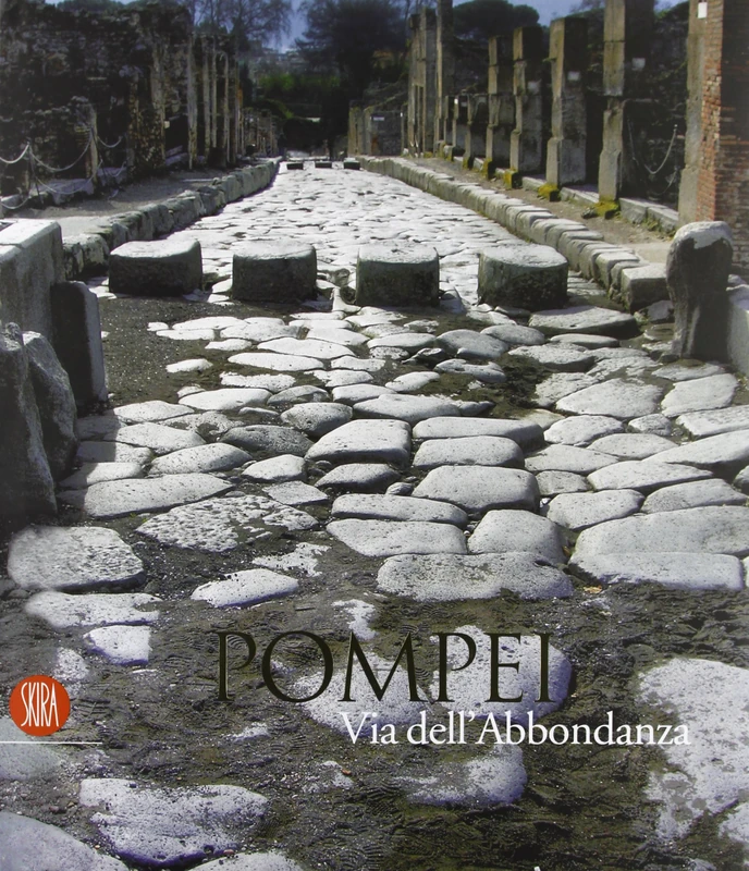 Pompei. Via dell'Abbondanza. Ricerche, restauri e nuove tecnologie. Ediz. italiana e inglese