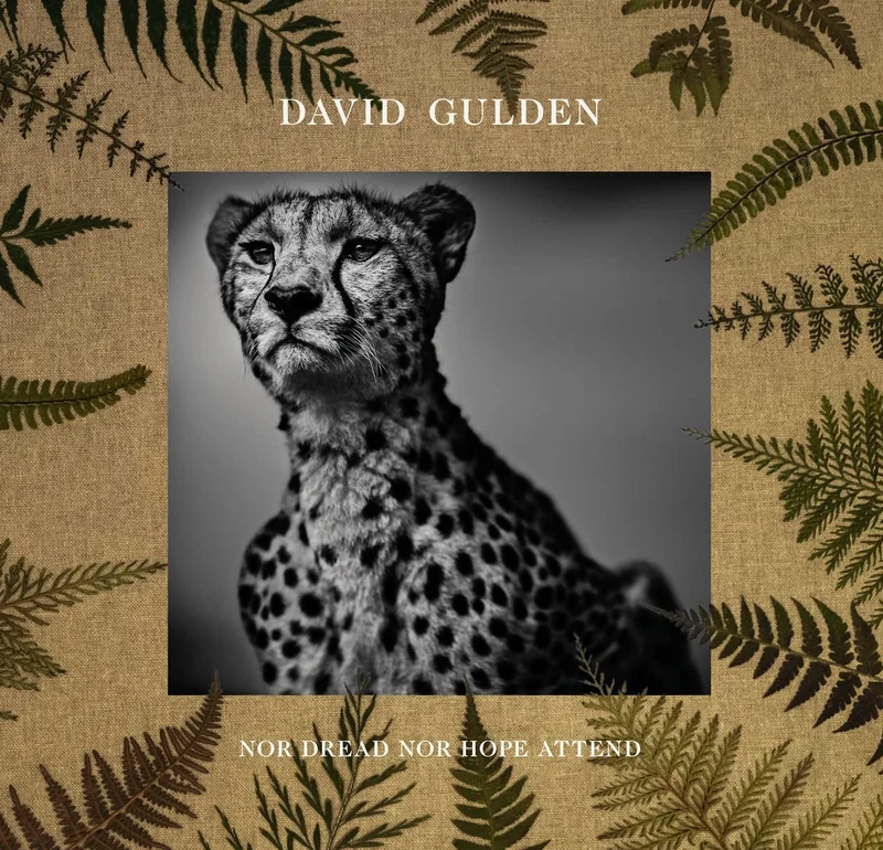 David Gulden: Nor Dread Nor Hope Attend: Photographs From The Plains of Africa - Image 1