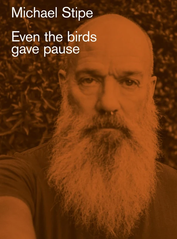 Michael Stipe: Even the birds gave pause - Image 1