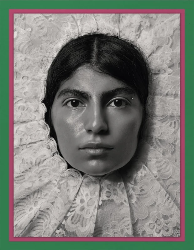 Pieter Henket: Birds of Mexico City