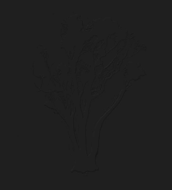 A Lost Place