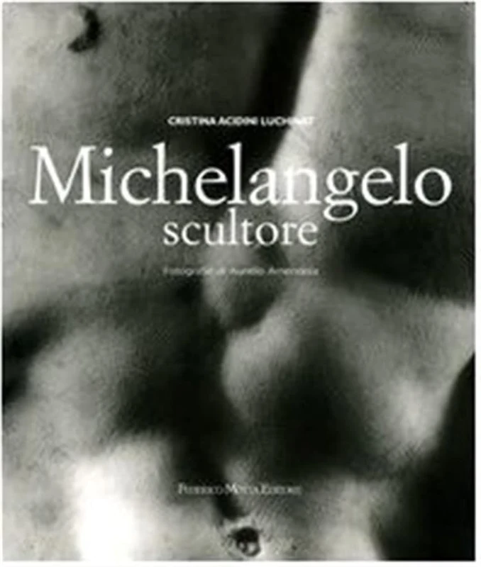 Michelangelo scultore