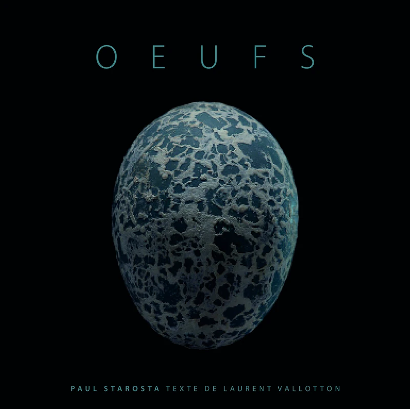 Oeufs - Image 1