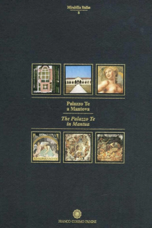 Palazzo Te in Mantua: 8 (University Leuven)