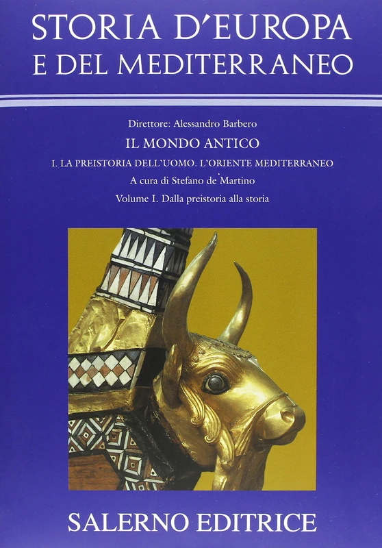 SALERNO - Storia d'Europa e del Mediterraneo Book