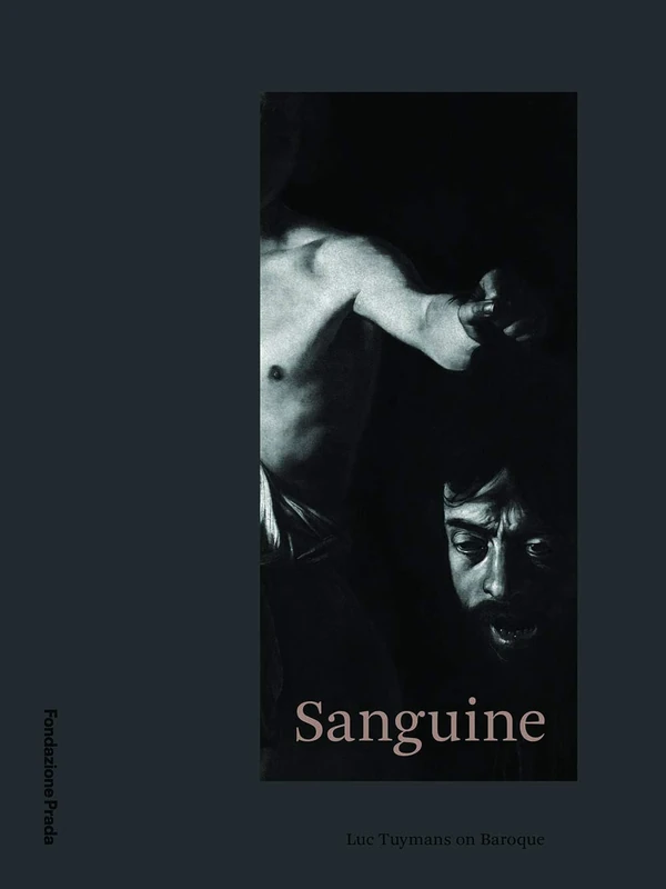 Sanguine - Luc Tuymans On Baroque - Image 1