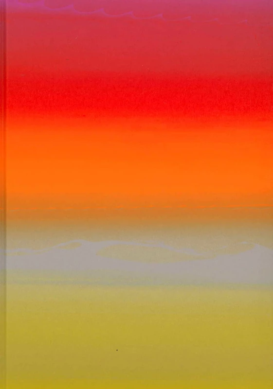 Raphael Hefti - Salutary Failures - Image 1