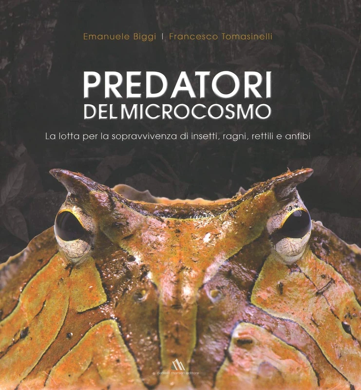 Predatori del microcosmo. La lotta per la sopravvivenza di insetti, ragni, rettili e anfibi - Image 1