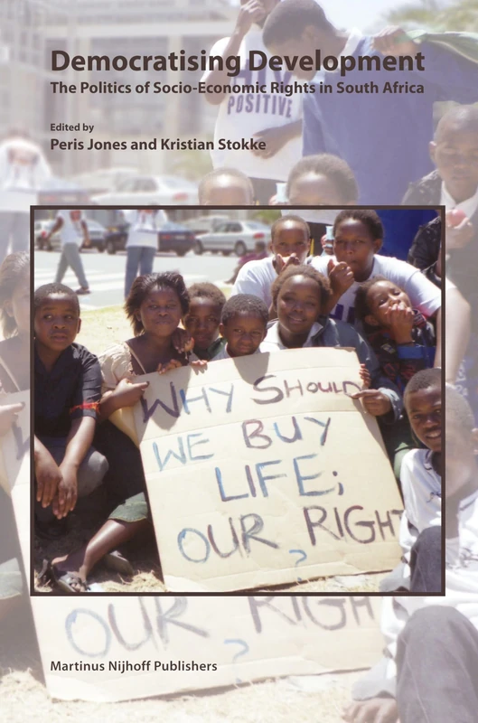 Democratising Development: The Politics of Socio-Economic Rights in South Africa: 64 (Nijhoff Law Specials, 64)