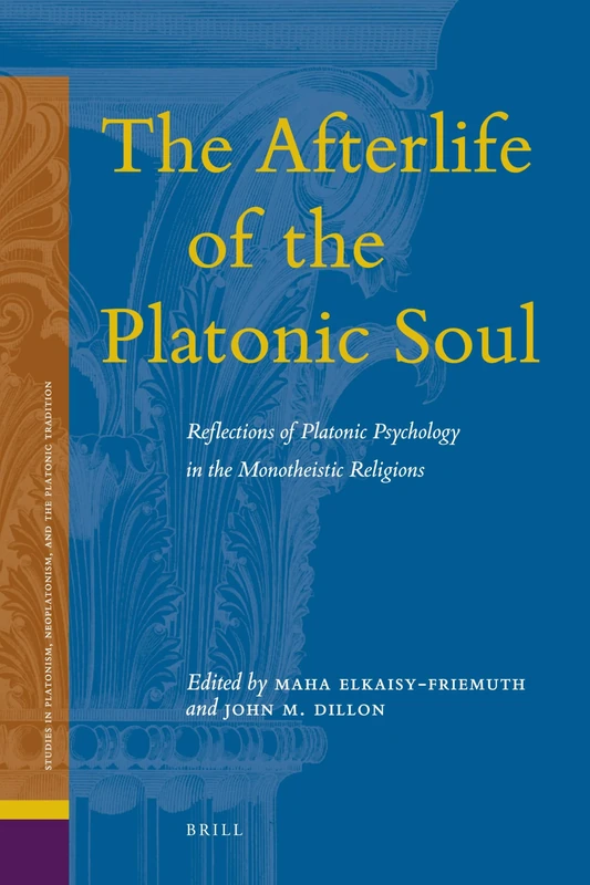 The Afterlife of the Platonic Soul: Reflections of Platonic Psychology in the Monotheistic Religions: 9 (Studies in Platonism, Neoplatonism, and the Platonic Tradition, 9)