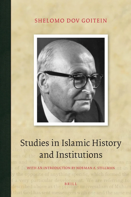 Studies in Islamic History and Institutions (Brill Classics in Islam): 5
