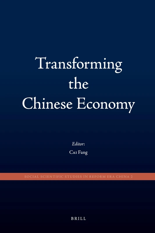 Transforming the Chinese Economy: 2 (Social Scientific Studies in Reform Era China, 2)