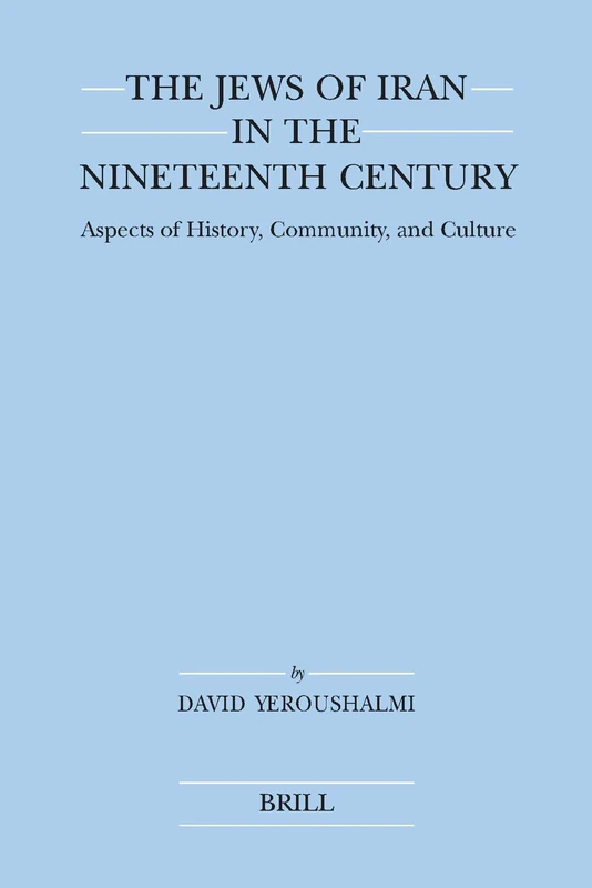 The Jews of Iran in the Nineteenth Century (paperback): Aspects of History, Community, and Culture: 40 (Brill's Jewish Studies)