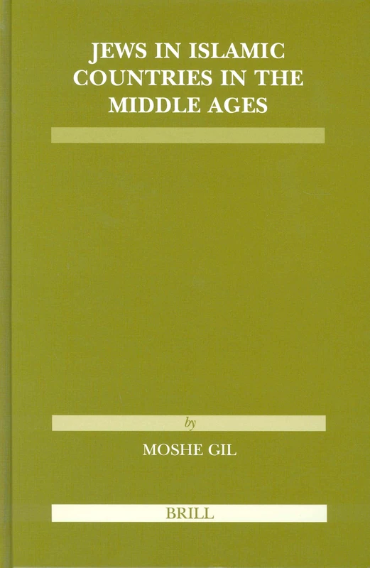 Jews in Islamic Countries in the Middle Ages: 28 (Études Sur Le Judaïsme Médiéval)