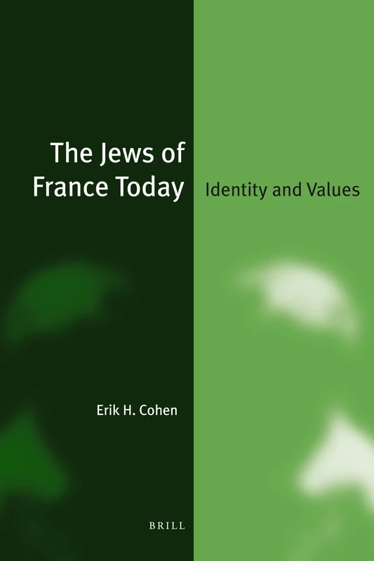 The Jews of France Today: Identity and Values: 18 (Jewish Identities in a Changing World, 18)