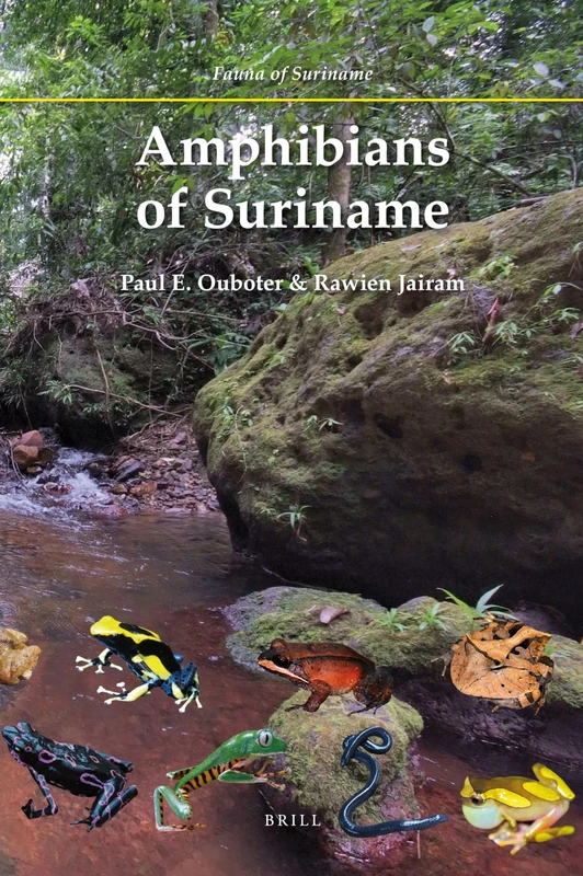 Amphibians of Suriname: 1 (Fauna of Suriname, 1) - Image 1