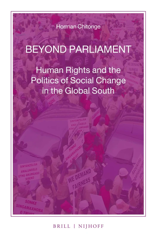 Beyond Parliament: Human Rights and the Politics of Social Change in the Global South: 88 (Nijhoff Law Specials, 88)