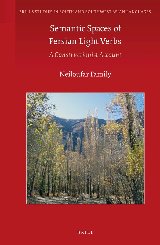 Semantic Spaces of Persian Light Verbs: A Constructionist Account: 6 (Brill's Studies in South and Southwest Asian Languages, 6)