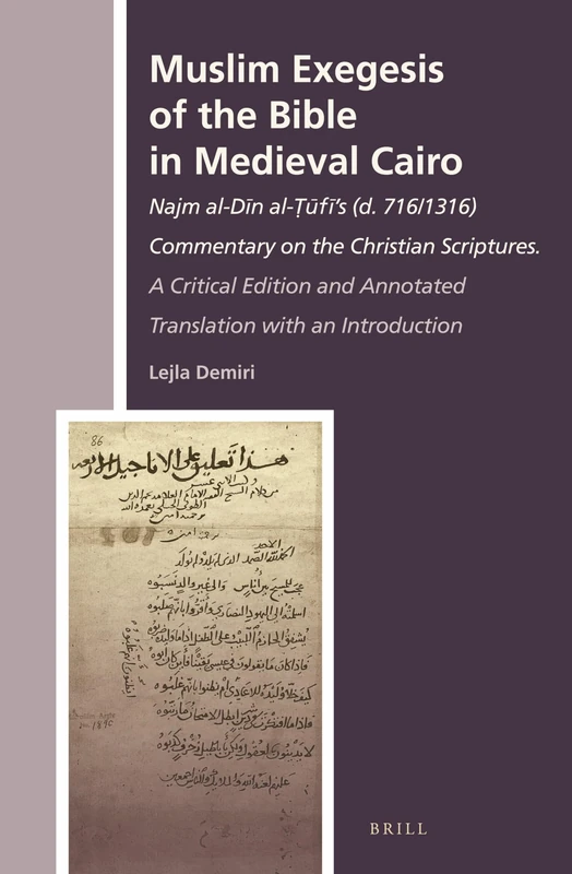 Muslim Exegesis of the Bible in Medieval Cairo: Najm al-Dīn al-Ṭūfī’s (d. 716/1316) Commentary on the Christian Scriptures. A Critical Edition and ... History of Christian-Muslim Relations, 19)