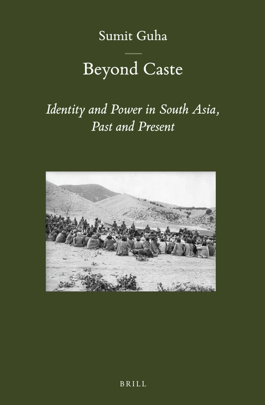 Beyond Caste: Identity and Power in South Asia, Past and Present: 44 (Brill's Indological Library, 44)