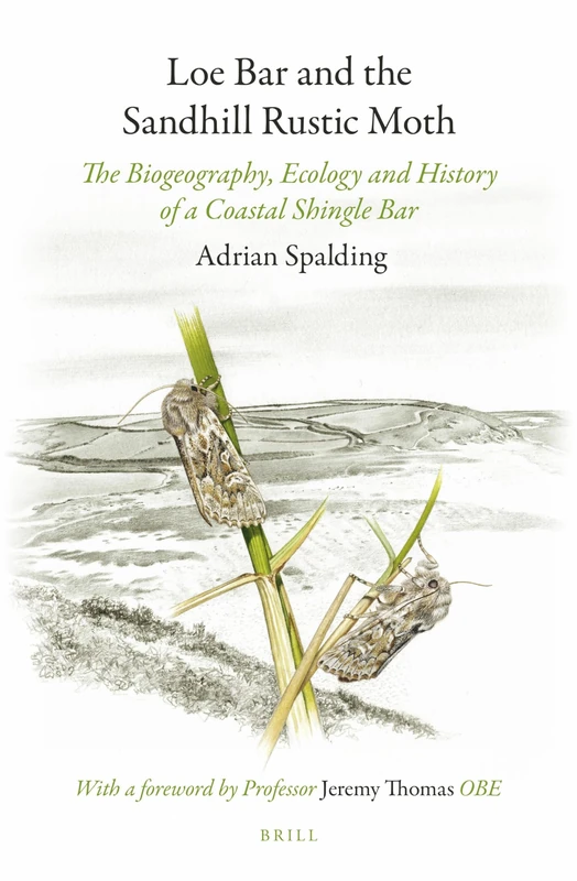 Loe Bar and the Sandhill Rustic Moth: The Biogeography, Ecology and History of a Coastal Shingle Bar